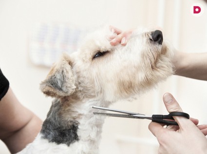 5 самых востребованных новых профессий 