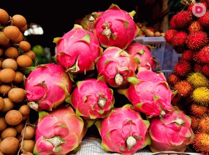 Камбоджа: здесь едят все