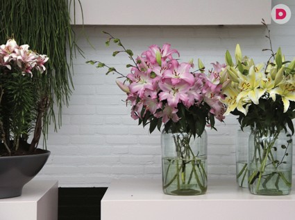 День 45. Цветовые решения