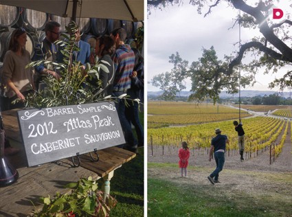 Незабываемое путешествие 