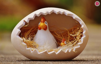 Как сделать клетку для кур самостоятельно