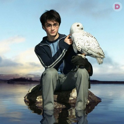 5 книг ко Всемирному дню Гарри Поттера