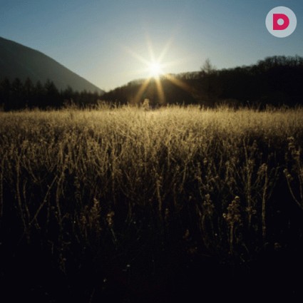 Ванга о судьбе человечества