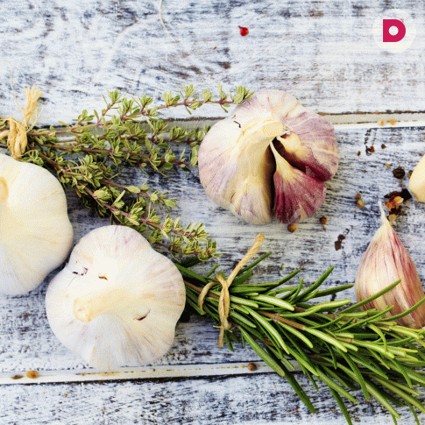 Сажаем чеснок: основные правила посадки