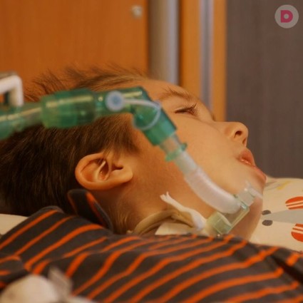 Данису нужна ваша помощь!